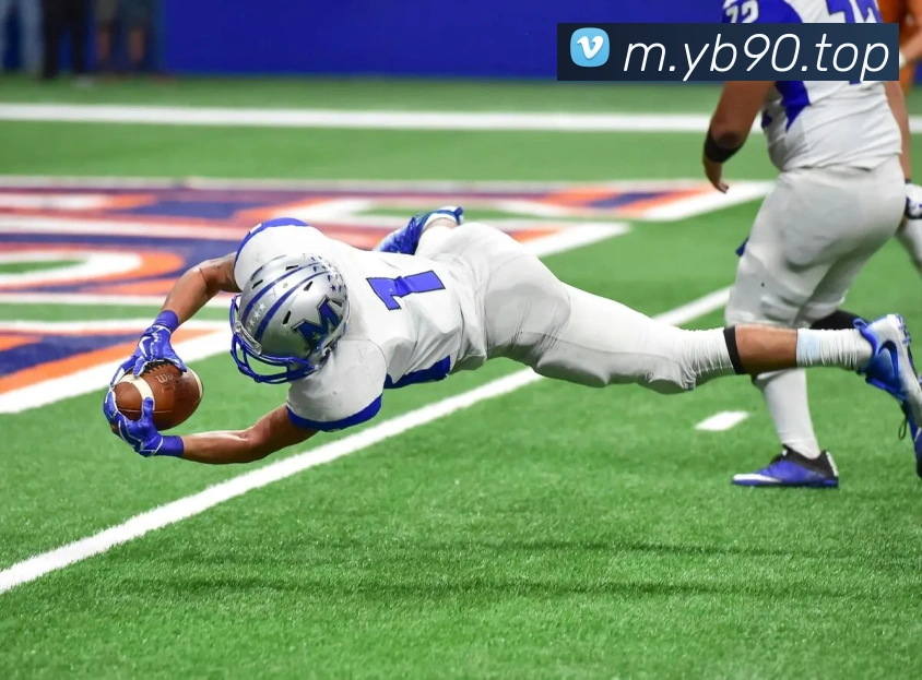 战术分析频道